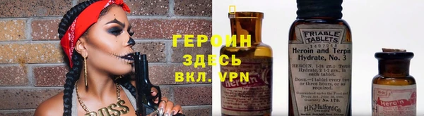 мет Алексин