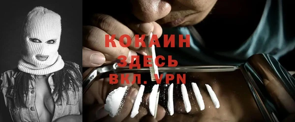 стаф Алзамай