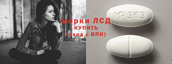 стаф Алзамай