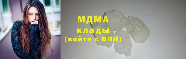 стаф Алзамай