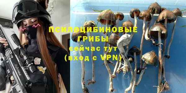 индика Горнозаводск