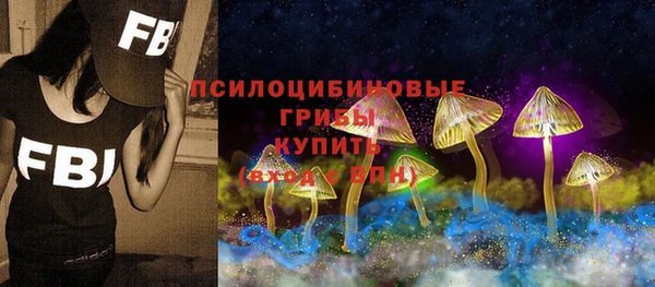 стаф Алзамай