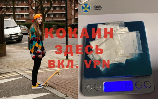 стаф Алзамай