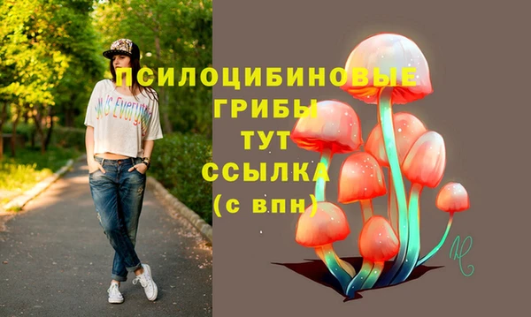 стаф Алзамай