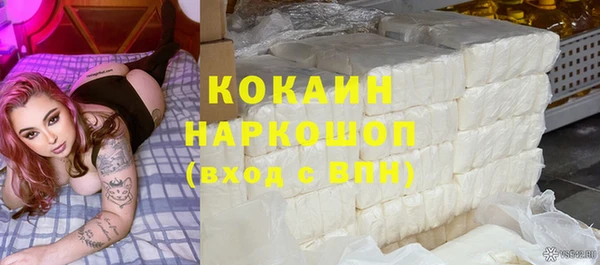 стаф Алзамай