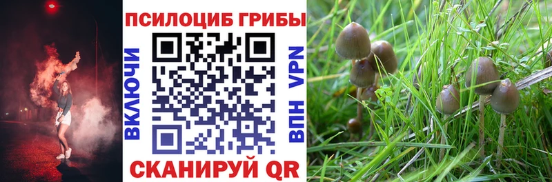 Псилоцибиновые грибы ЛСД  Лаишево 